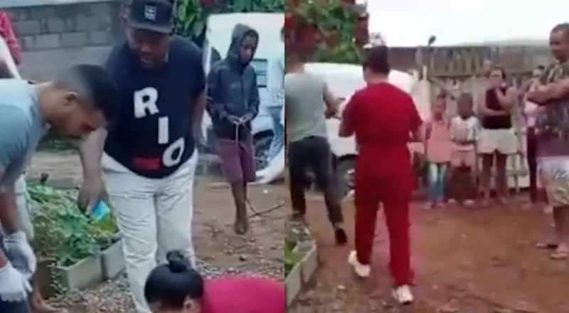 reprodução