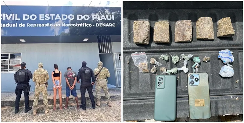 reprodução