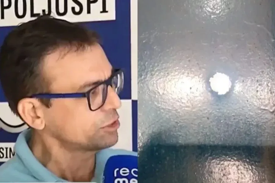 reprodução