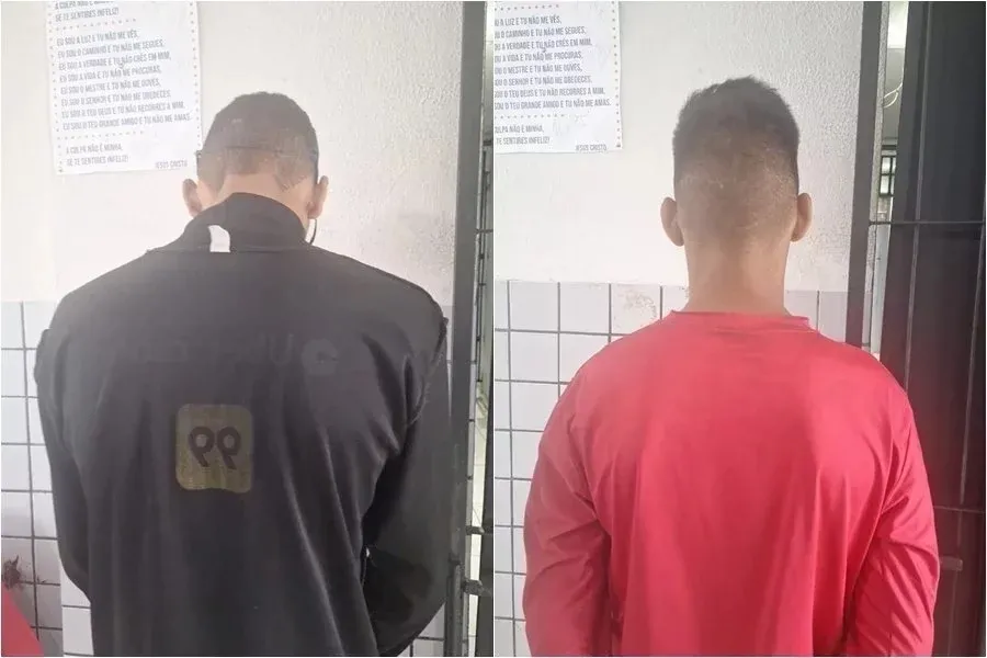 reprodução
