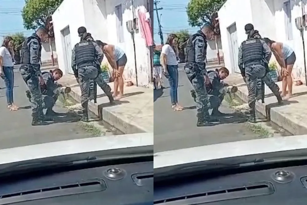 reprodução