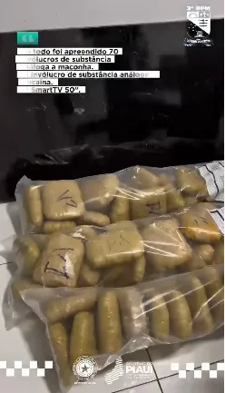 Divulgação