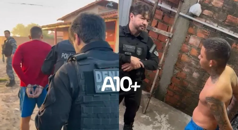 reprodução