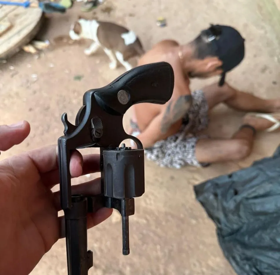 reprodução