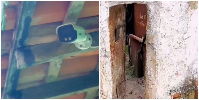 reprodução