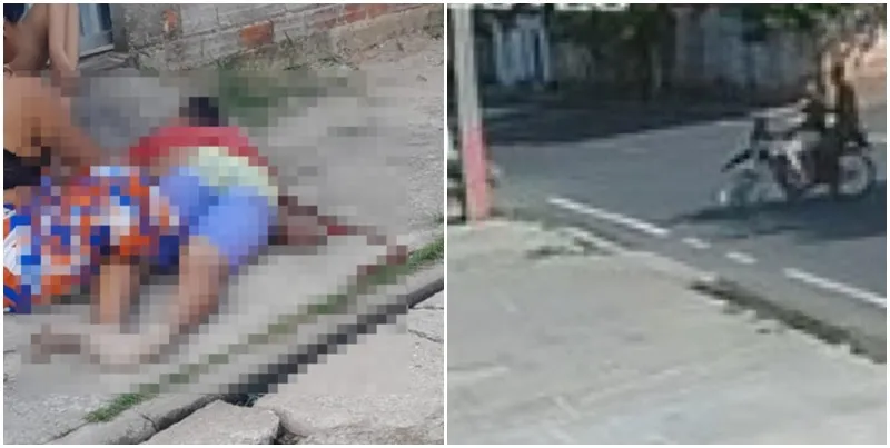 reprodução