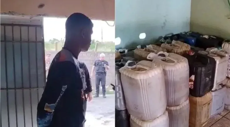 reprodução