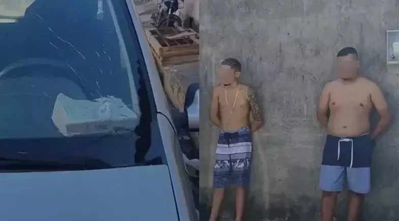 reprodução