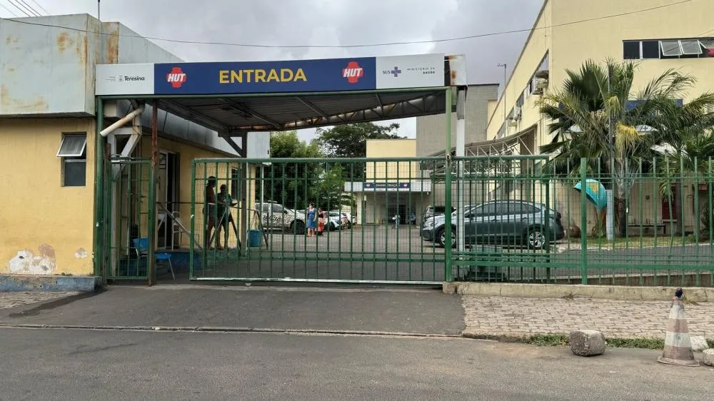 Crianças que passaram mal após comerem carambolas recebem alta em Teresina