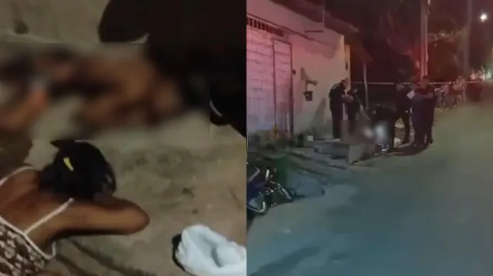 reprodução