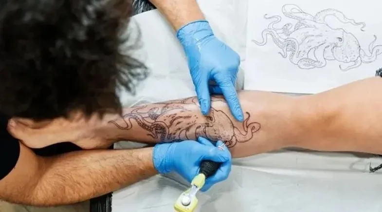 reprodução