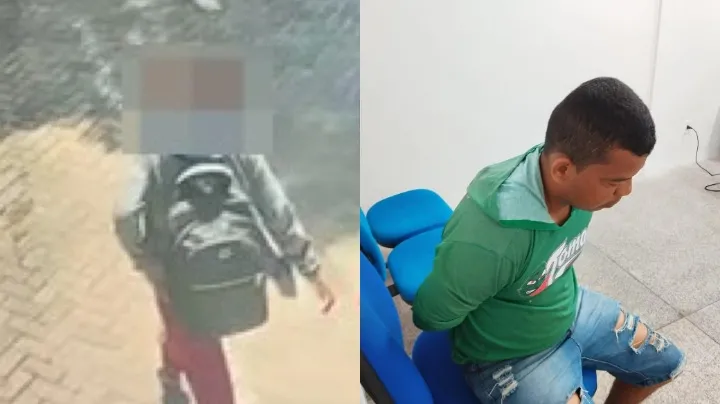 reprodução