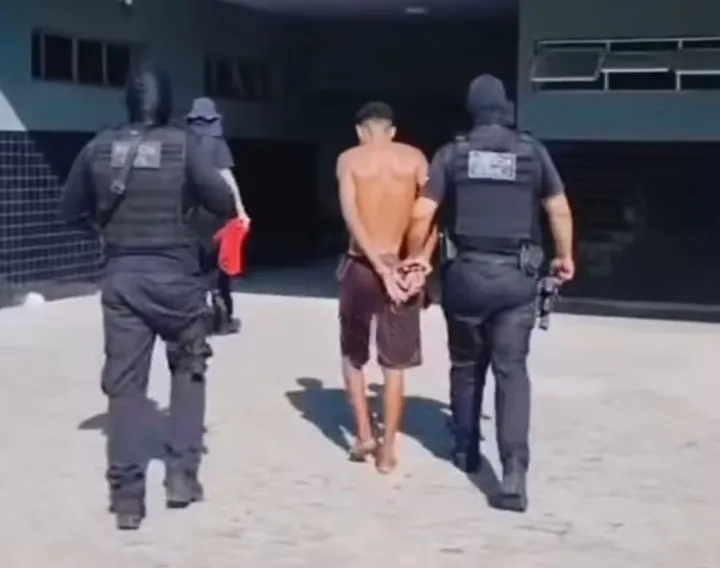 reprodução