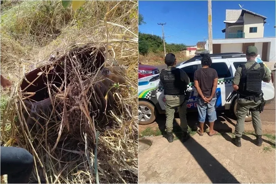 reprodução
