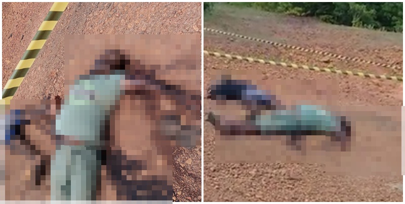 Foto: Montagem / Fala Piauí 