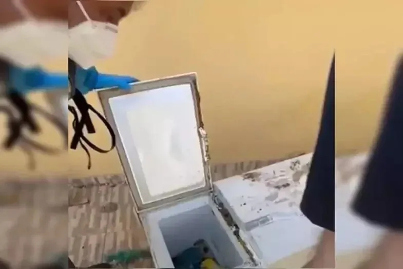 reprodução