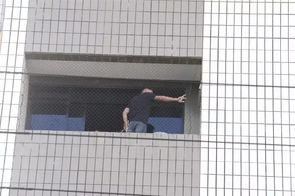 reprodução