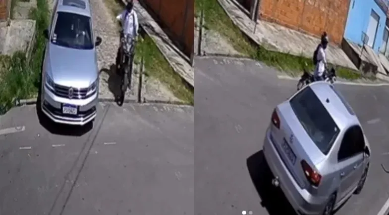 reprodução