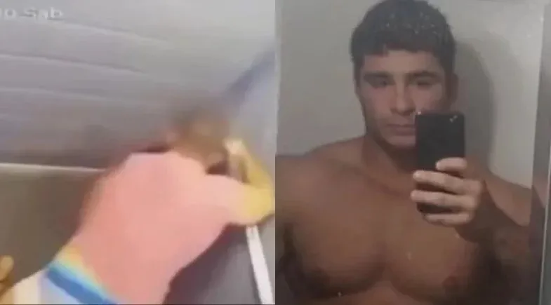 reprodução