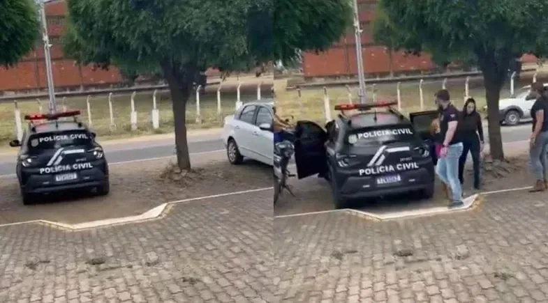 reprodução