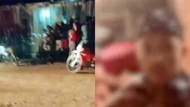 reprodução