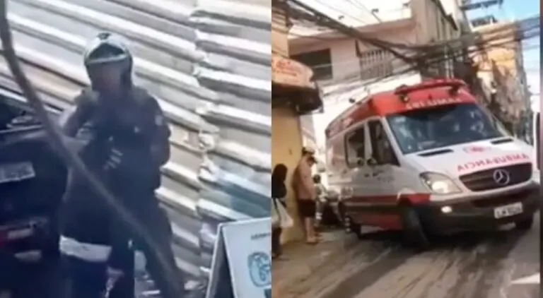 reprodução
