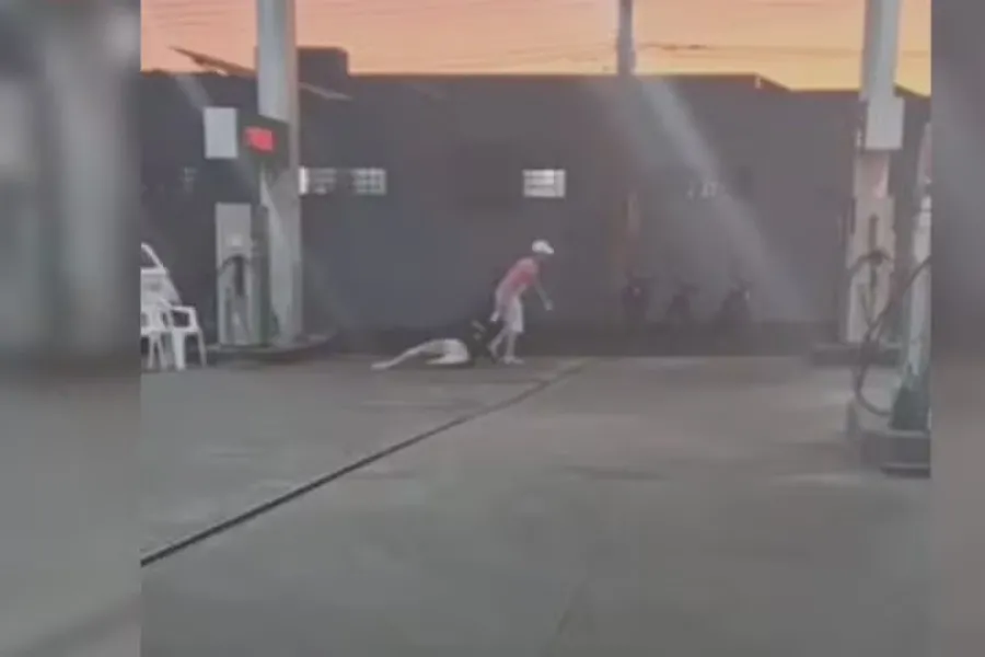 reprodução