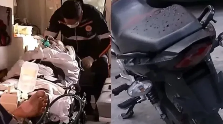 reprodução