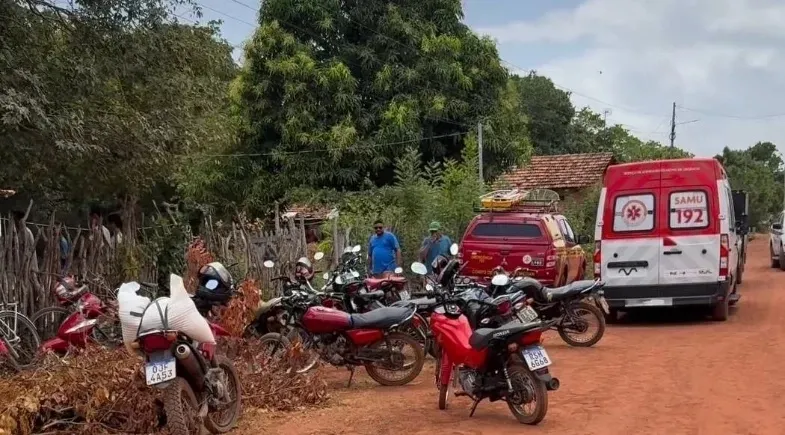 reprodução