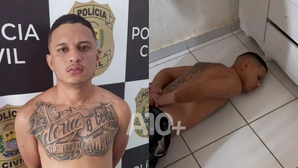 reprodução