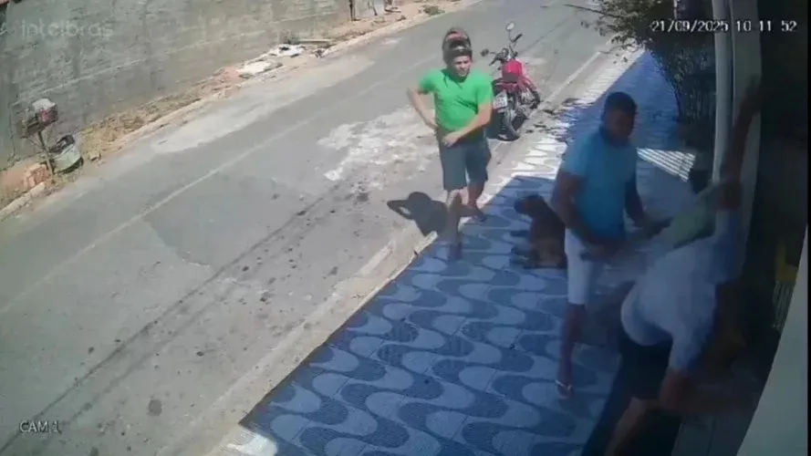 reprodução