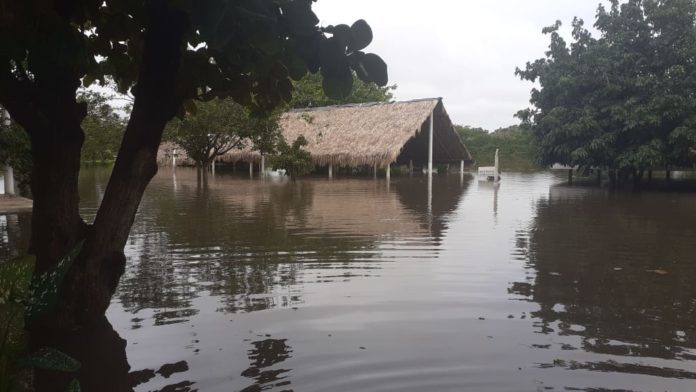 Foto: Reproduçãoa