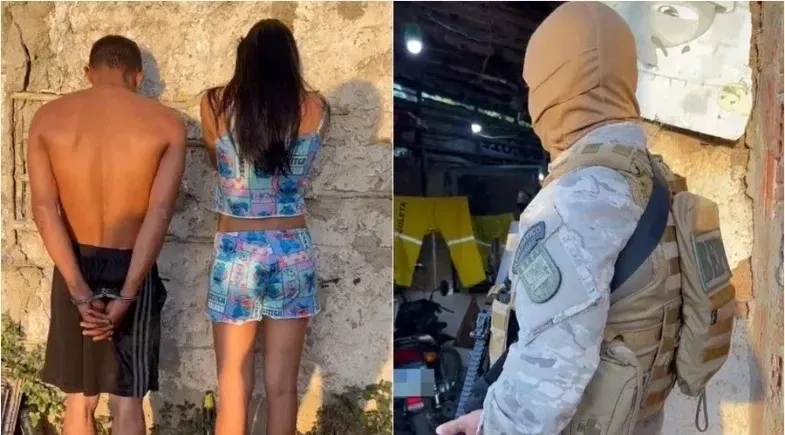 reprodução