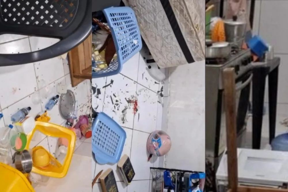 reprodução