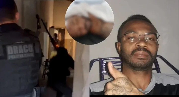 reprodução