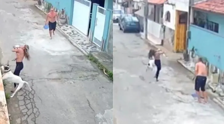 reprodução