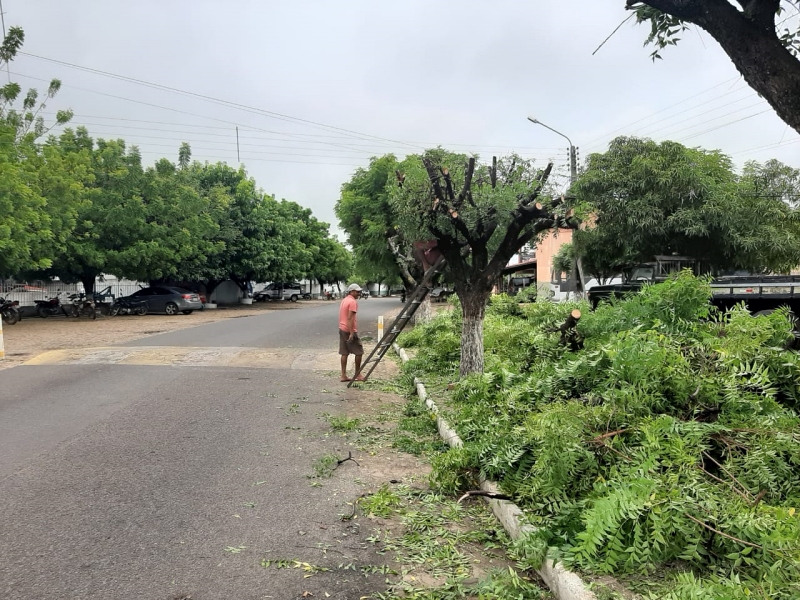 Serviços de poda de árvores na Orla do Açude e centro da cidade