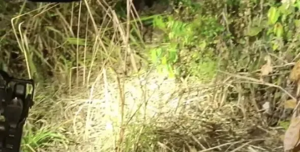 Cena Brut4l: antes de ser encontrado, adolescente foi esp4ncado e tortur4do até a m0rte; veja vídeo 