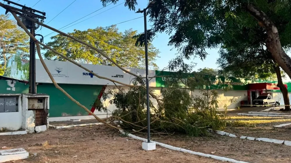 Galho de árvore cai sobre poste e deixa hospital sem energia há mais de seis horas em Teresina