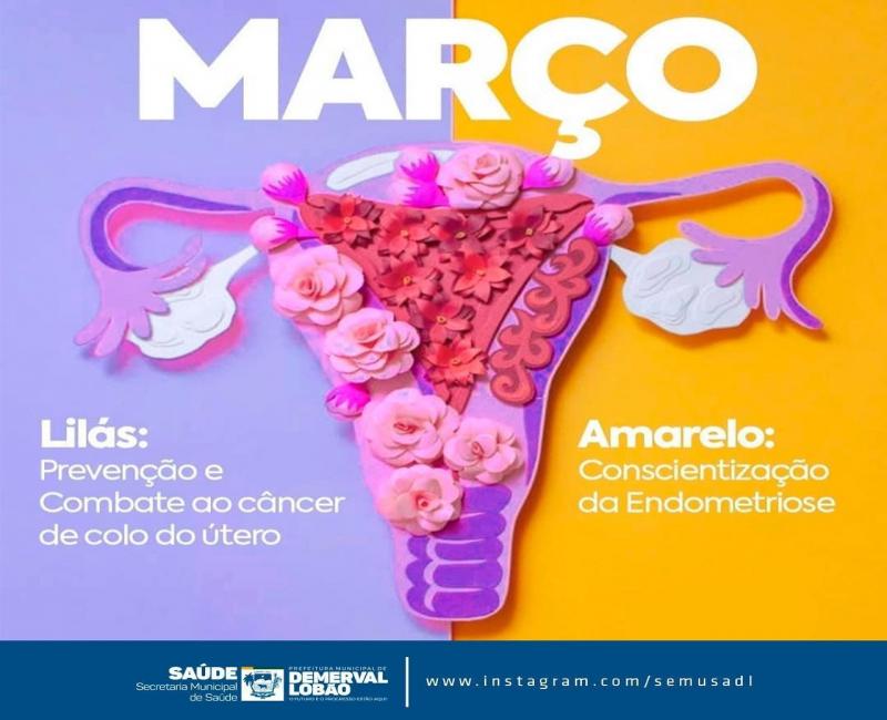 Imagem: reprodução/pmdl