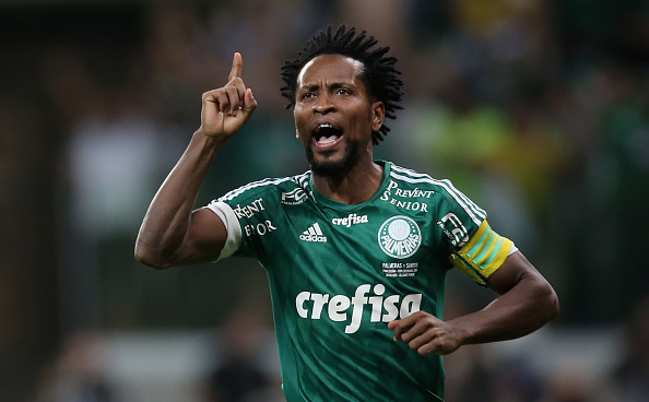 Zé Roberto renova com o Palmeiras até o o final do ano de 2017