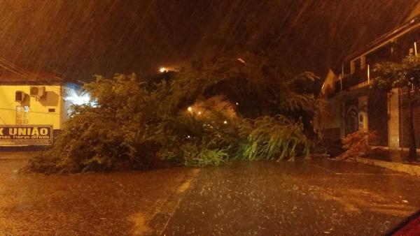 Forte chuva causa estragos e deixa ruas alagadas em Parnaíba